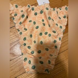 Dippin' Daisy's Orange and Green Fabric